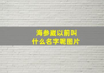 海参崴以前叫什么名字呢图片