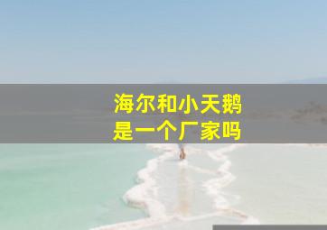 海尔和小天鹅是一个厂家吗