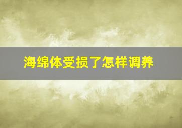 海绵体受损了怎样调养