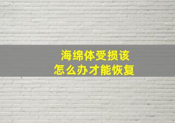 海绵体受损该怎么办才能恢复