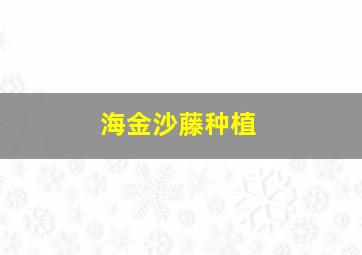 海金沙藤种植