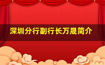 深圳分行副行长万晟简介