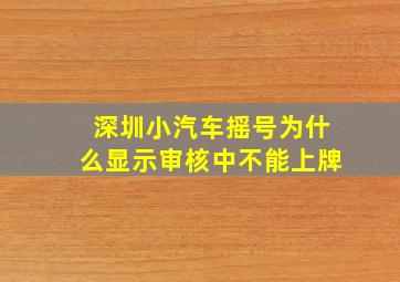 深圳小汽车摇号为什么显示审核中不能上牌