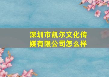 深圳市凯尔文化传媒有限公司怎么样