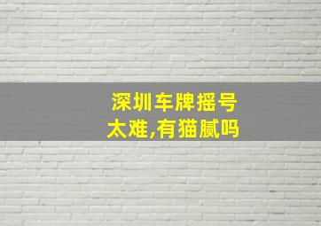 深圳车牌摇号太难,有猫腻吗