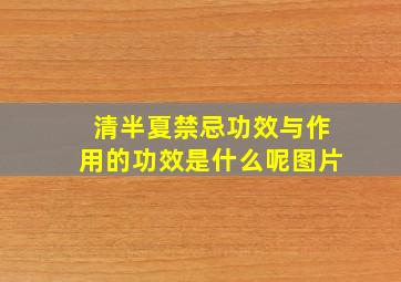 清半夏禁忌功效与作用的功效是什么呢图片