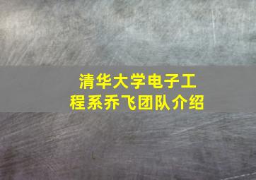 清华大学电子工程系乔飞团队介绍