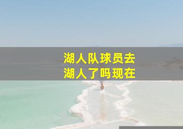 湖人队球员去湖人了吗现在