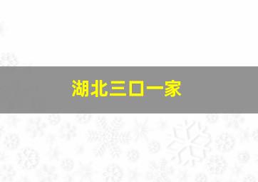 湖北三口一家