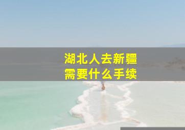 湖北人去新疆需要什么手续