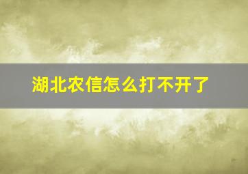 湖北农信怎么打不开了