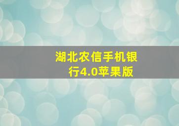 湖北农信手机银行4.0苹果版