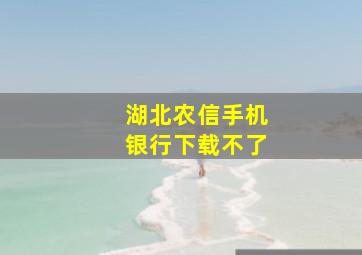 湖北农信手机银行下载不了