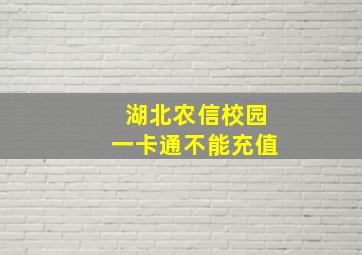 湖北农信校园一卡通不能充值