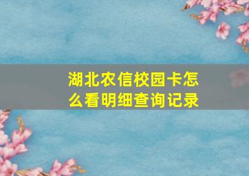 湖北农信校园卡怎么看明细查询记录