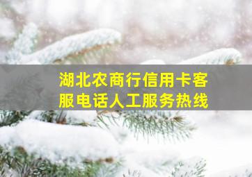 湖北农商行信用卡客服电话人工服务热线