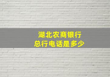 湖北农商银行总行电话是多少