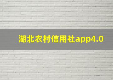 湖北农村信用社app4.0