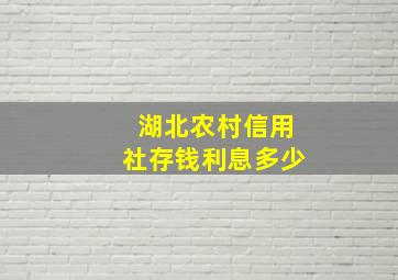 湖北农村信用社存钱利息多少