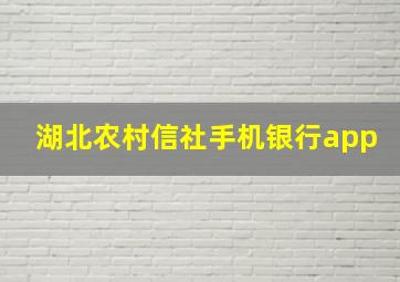 湖北农村信社手机银行app