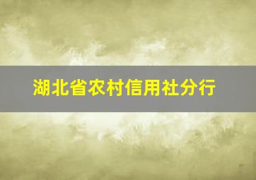 湖北省农村信用社分行