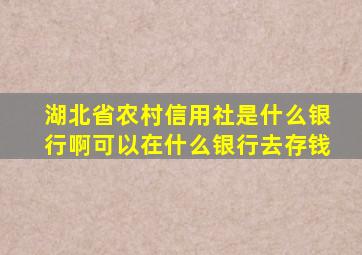 湖北省农村信用社是什么银行啊可以在什么银行去存钱