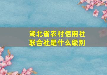 湖北省农村信用社联合社是什么级别