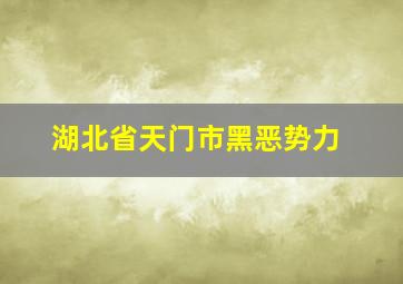 湖北省天门市黑恶势力