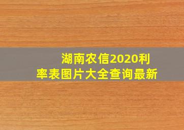 湖南农信2020利率表图片大全查询最新