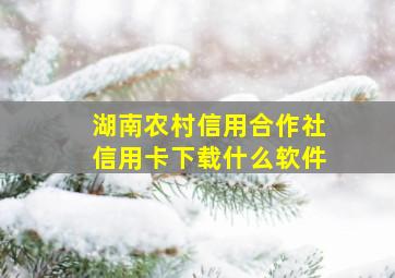 湖南农村信用合作社信用卡下载什么软件