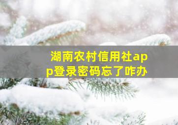 湖南农村信用社app登录密码忘了咋办