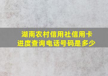 湖南农村信用社信用卡进度查询电话号码是多少