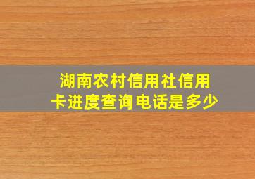 湖南农村信用社信用卡进度查询电话是多少