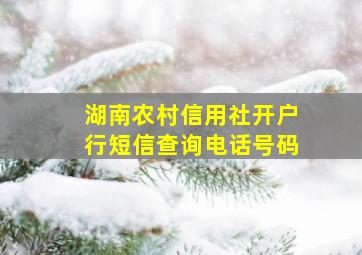 湖南农村信用社开户行短信查询电话号码