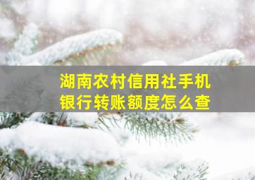 湖南农村信用社手机银行转账额度怎么查