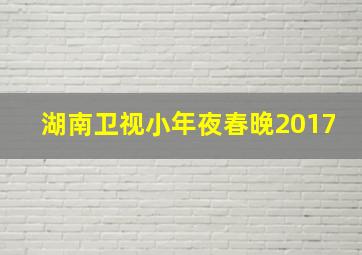 湖南卫视小年夜春晚2017