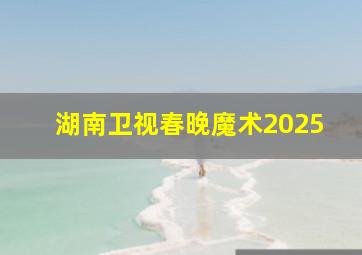 湖南卫视春晚魔术2025