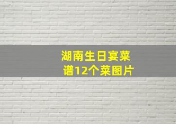 湖南生日宴菜谱12个菜图片