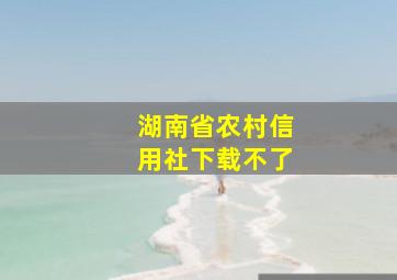 湖南省农村信用社下载不了