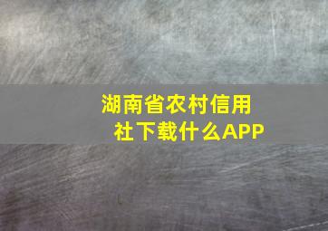 湖南省农村信用社下载什么APP