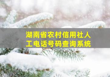 湖南省农村信用社人工电话号码查询系统