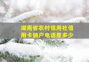 湖南省农村信用社信用卡销户电话是多少