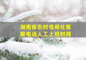 湖南省农村信用社客服电话人工上班时间