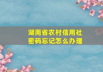 湖南省农村信用社密码忘记怎么办理