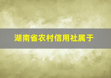 湖南省农村信用社属于