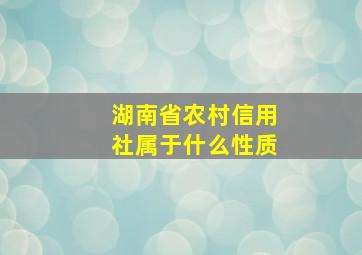 湖南省农村信用社属于什么性质