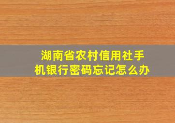 湖南省农村信用社手机银行密码忘记怎么办