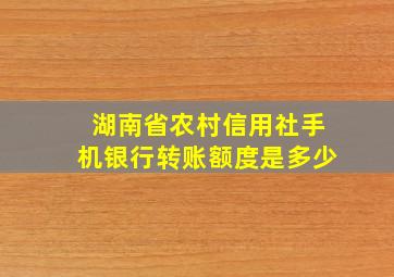 湖南省农村信用社手机银行转账额度是多少