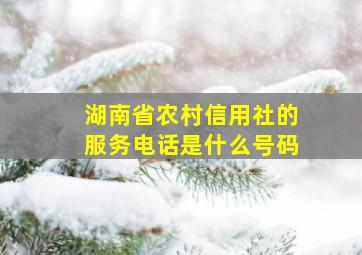 湖南省农村信用社的服务电话是什么号码