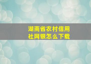 湖南省农村信用社网银怎么下载